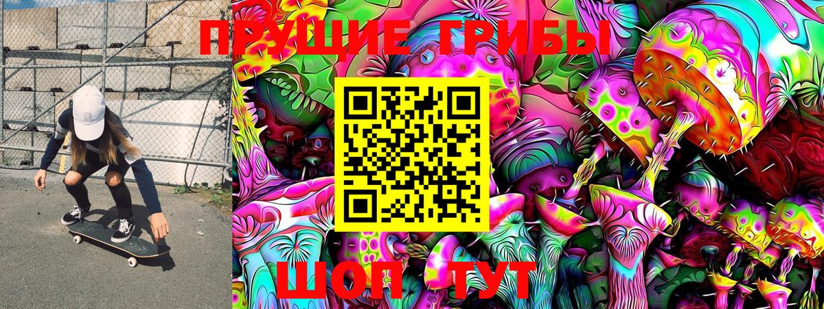 Менделеевск  Галлюциногенные грибы Psilocybe  Вход с VPN 
