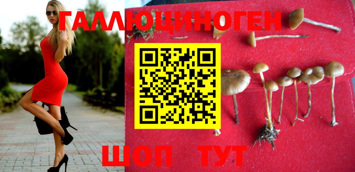 Псилоцибиновые грибы мухоморы Менделеевск